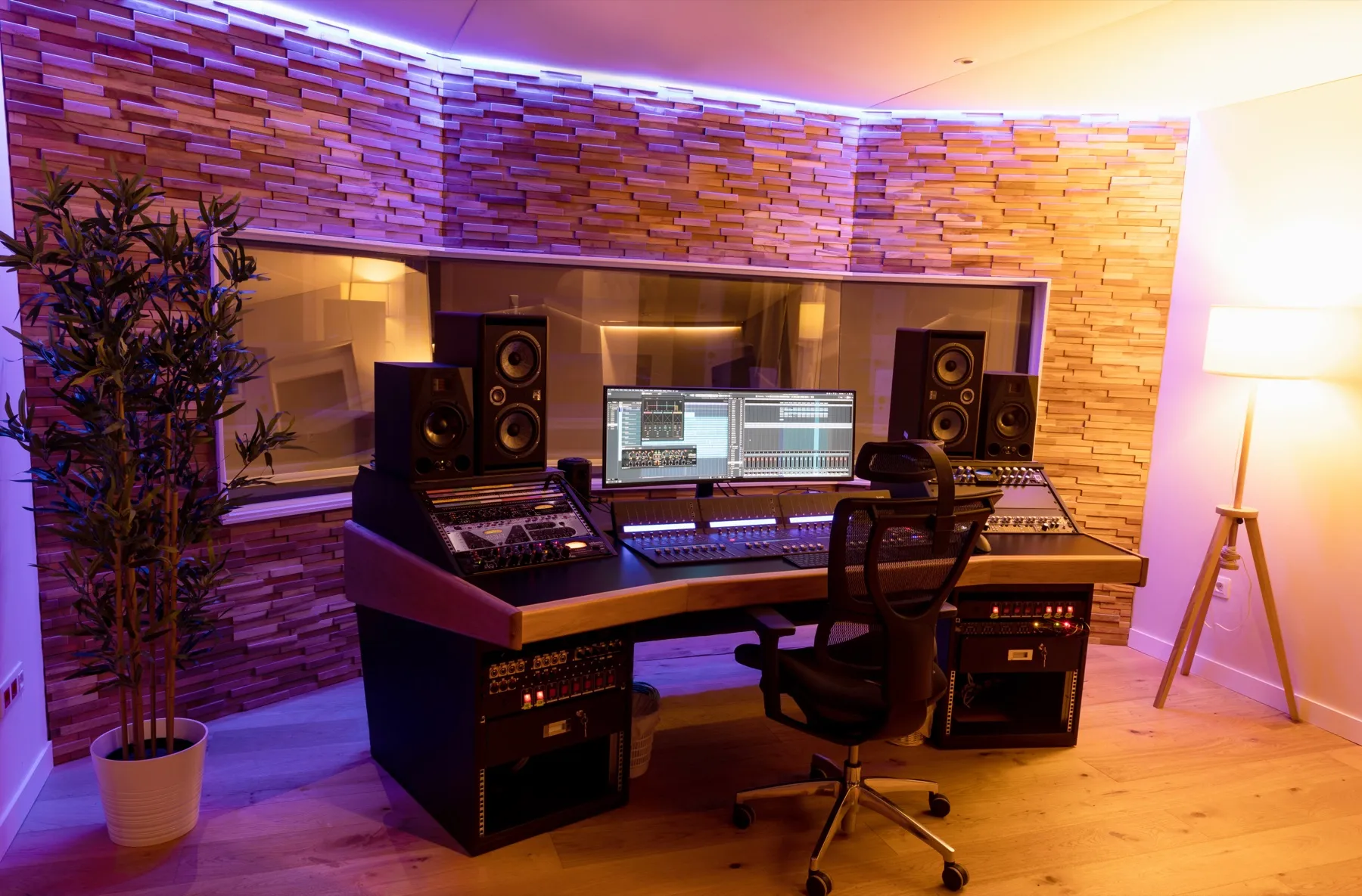 El estudio